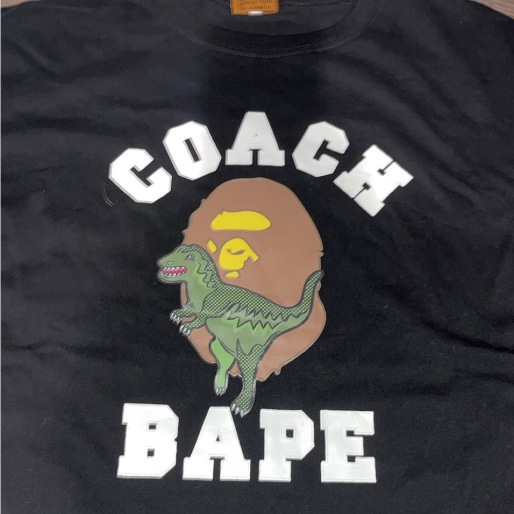 Bape x coach tee size XXL